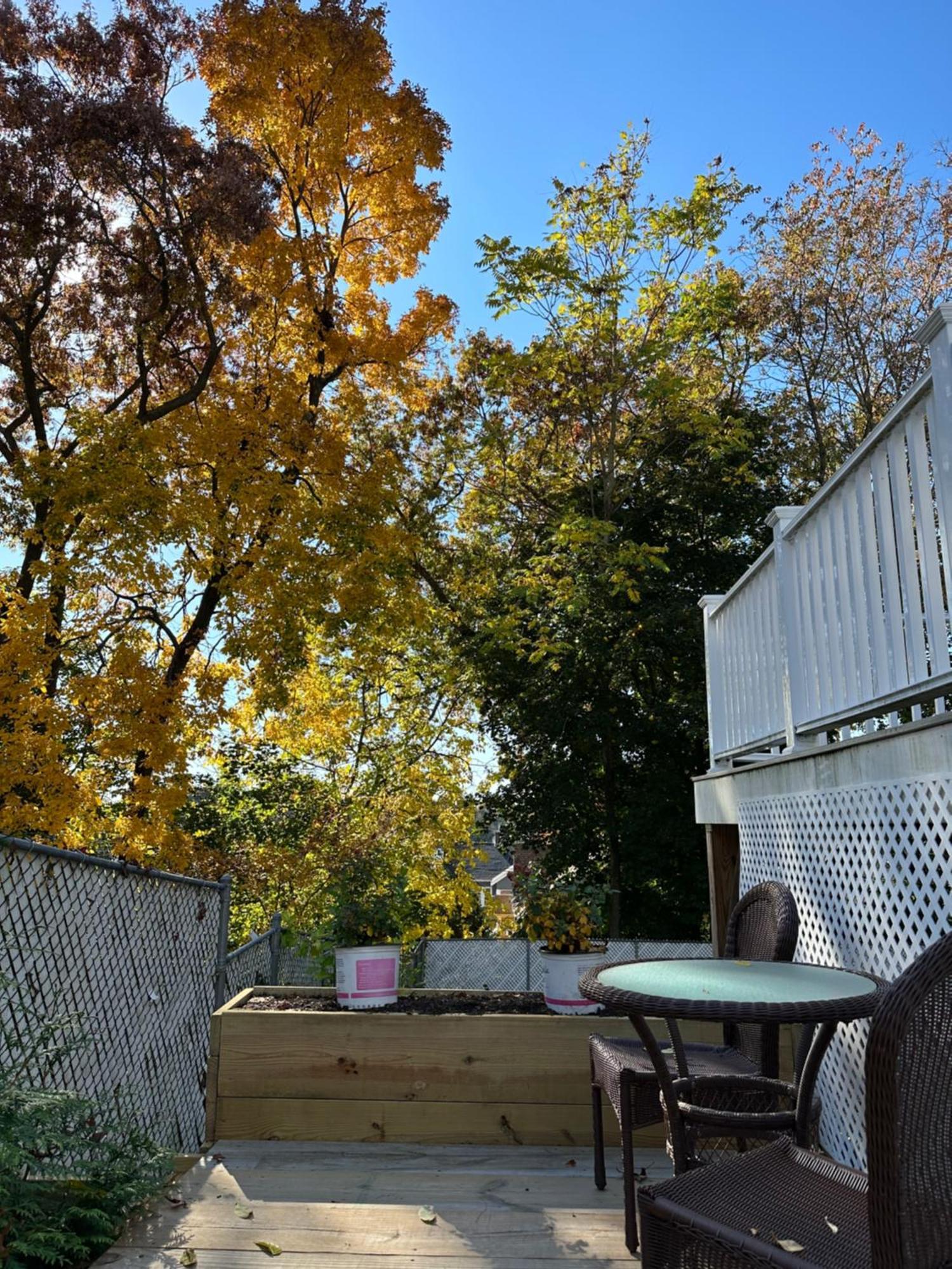Villa Boston Single Family House - Super Quiet And Private Extérieur photo