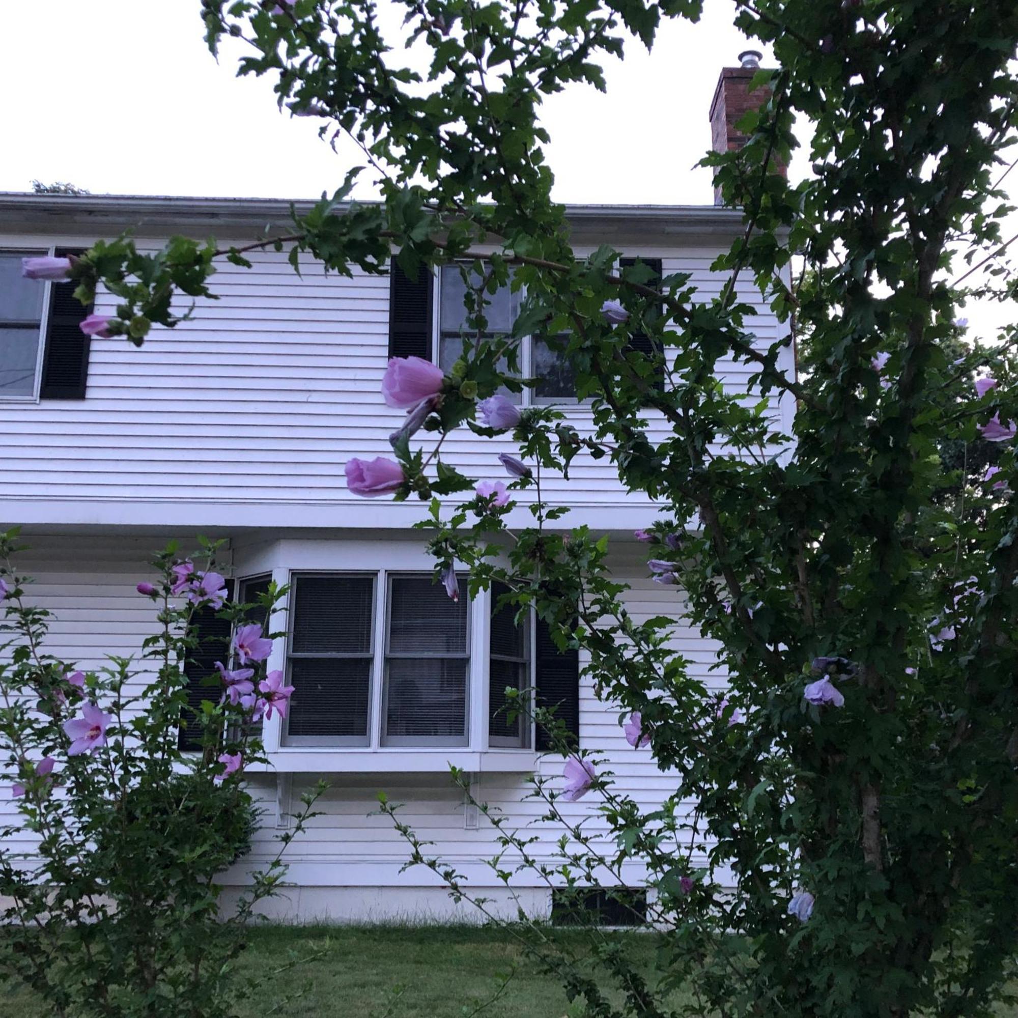 Villa Boston Single Family House - Super Quiet And Private Extérieur photo